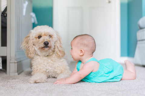 Baby & Pets